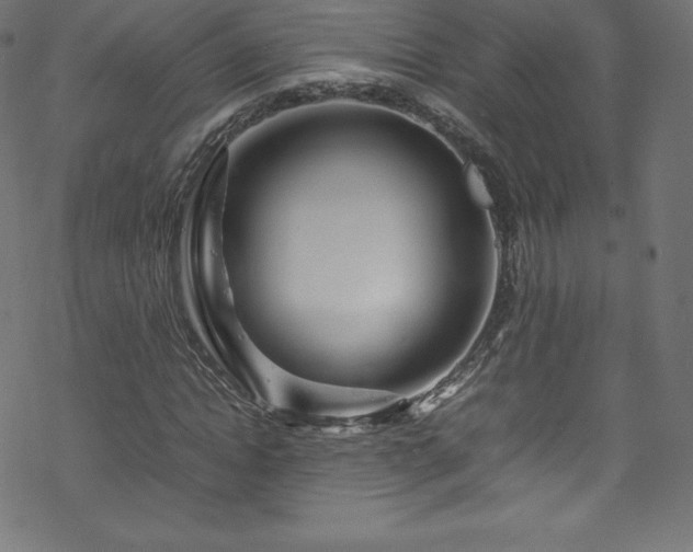 X0000070230822200605301453