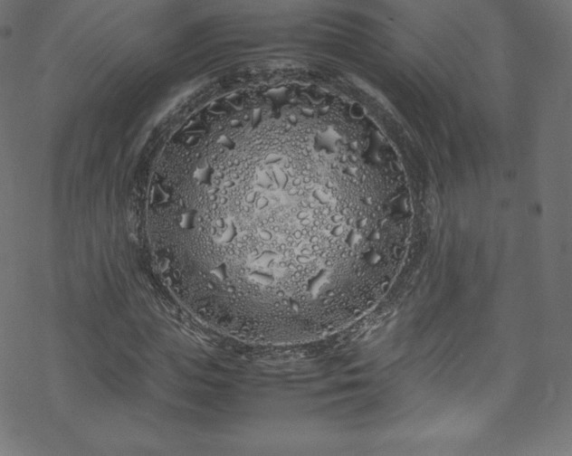 X0000070230823200605301453