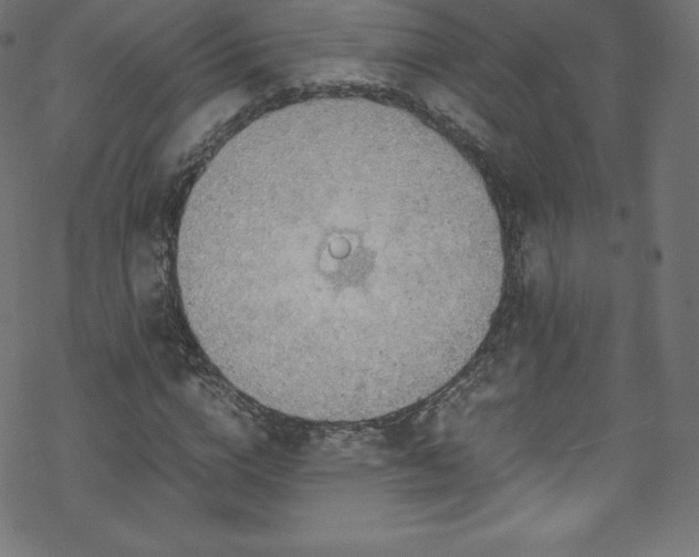 X0000070230824200605301453