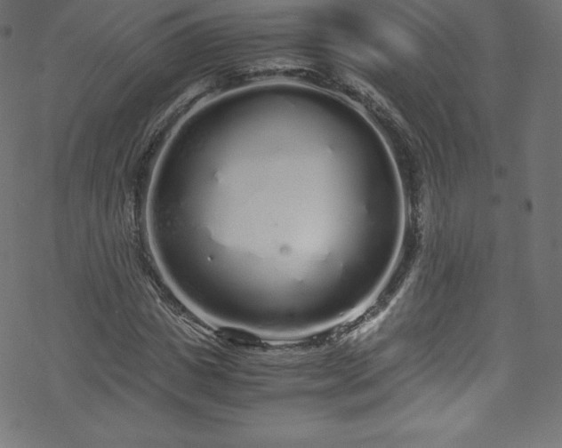 X0000070230825200605301453