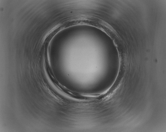 X0000070230826200605301453