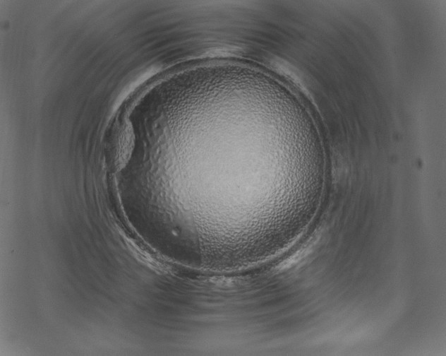 X0000070230827200605301453