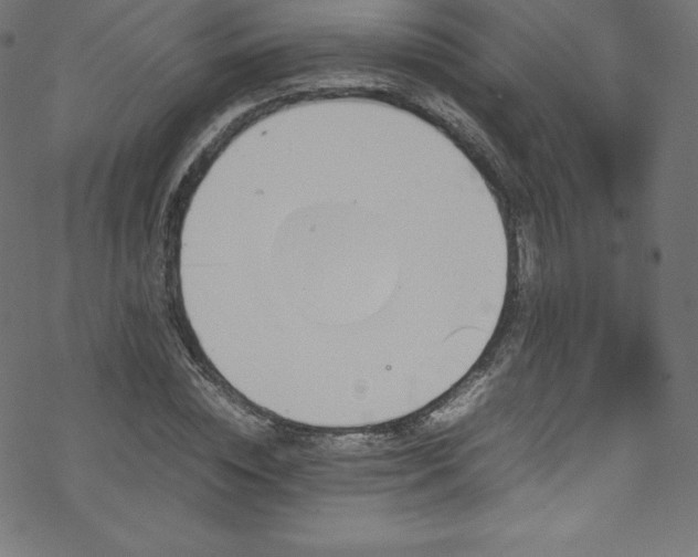 X0000070230828200605301453