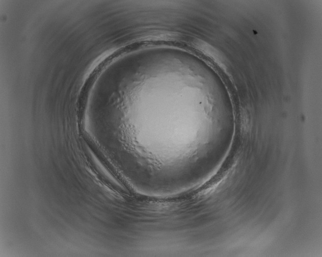 X0000070230829200605301453