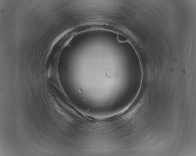 X0000070230830200605301453