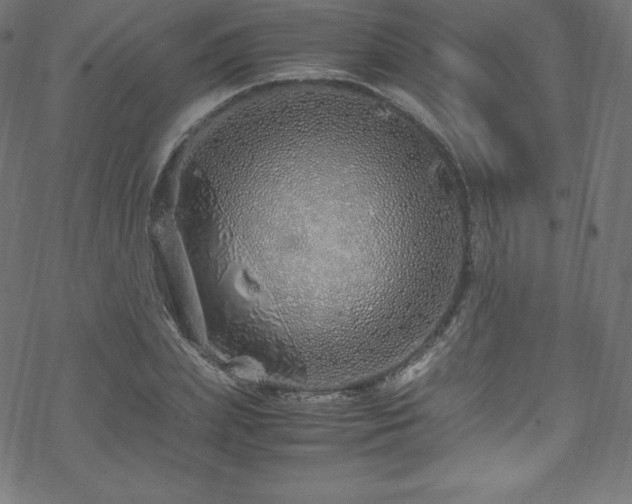 X0000070230831200605301453