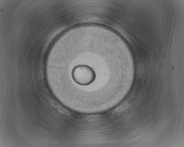 X0000070230832200605301453