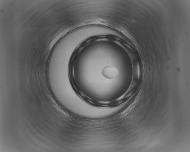 X0000070230834200605301453