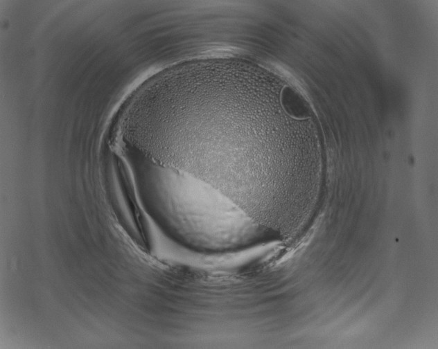 X0000070230835200605301453