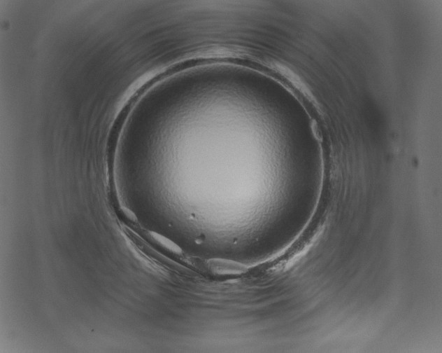 X0000070230837200605301453