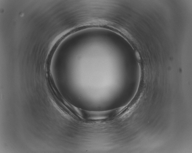 X0000070230838200605301453