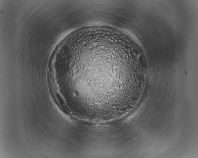 X0000070230839200605301453