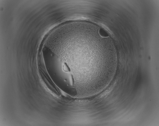 X0000070230840200605301453