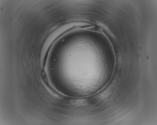 X0000070230841200605301453