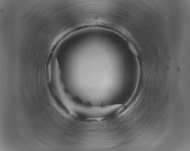 X0000070230842200605301453