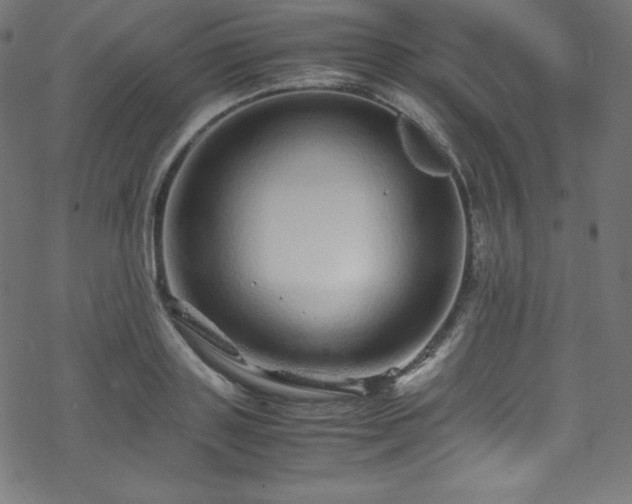 X0000070230843200605301453