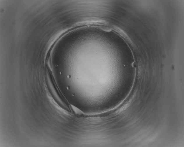 X0000070230844200605301453