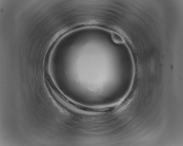 X0000070230845200605301454