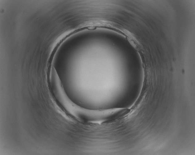 X0000070230846200605301454