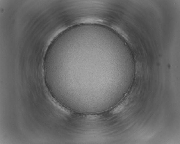 X0000070230848200605301454