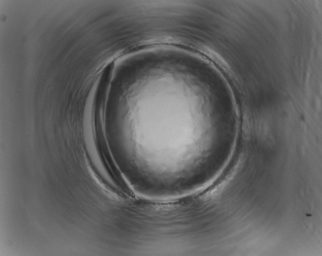 X0000070230849200605301454