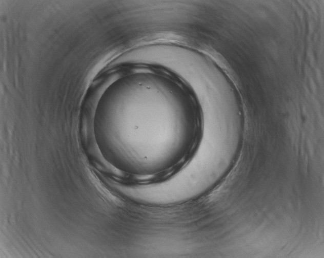 X0000070230850200605301454