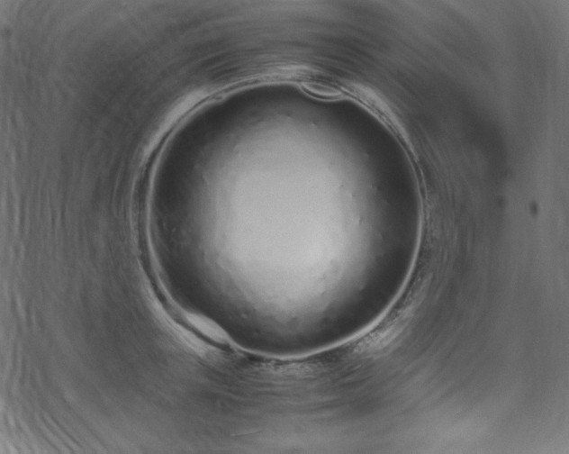 X0000070230851200605301454