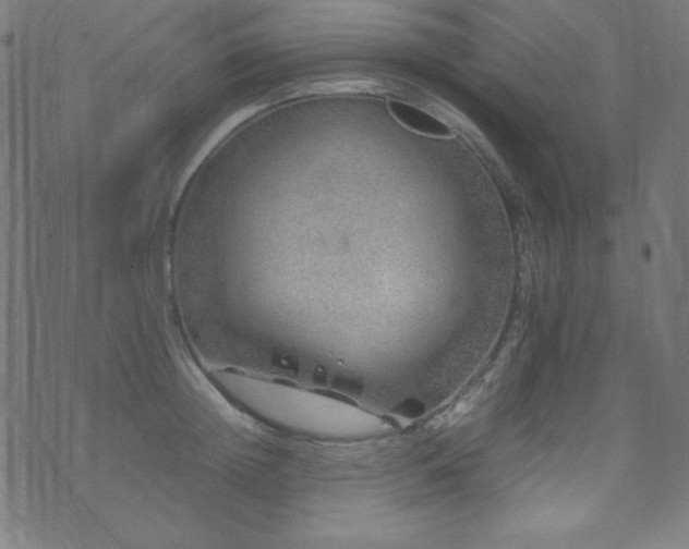 X0000070230852200605301454