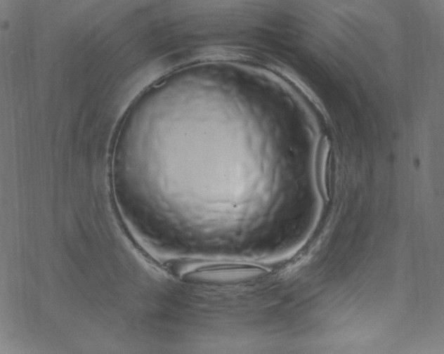 X0000070230853200605301454