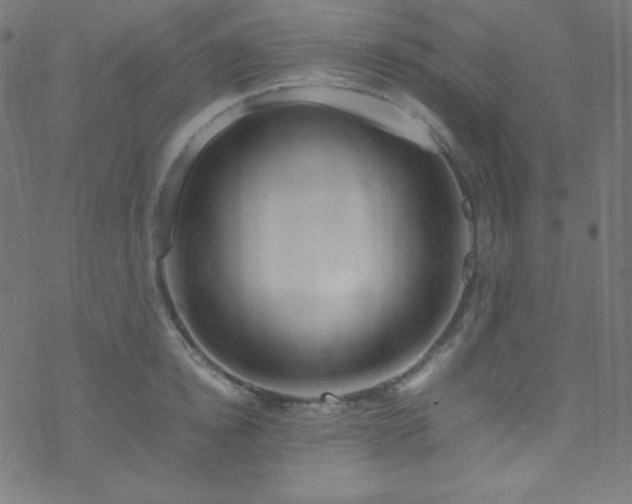 X0000070230854200605301454