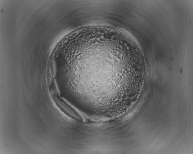 X0000070230855200605301454