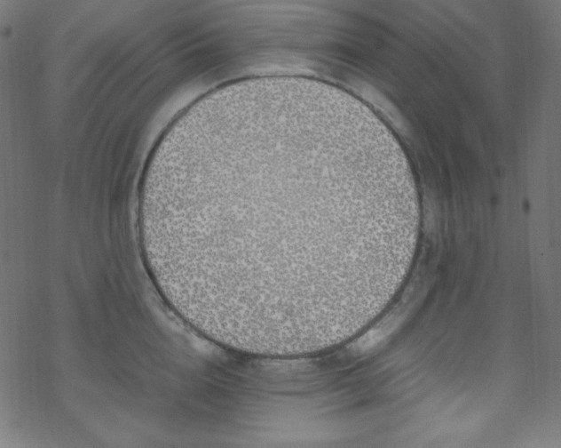 X0000070230856200605301454