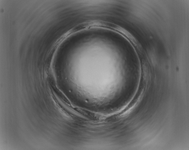 X0000070230857200605301454