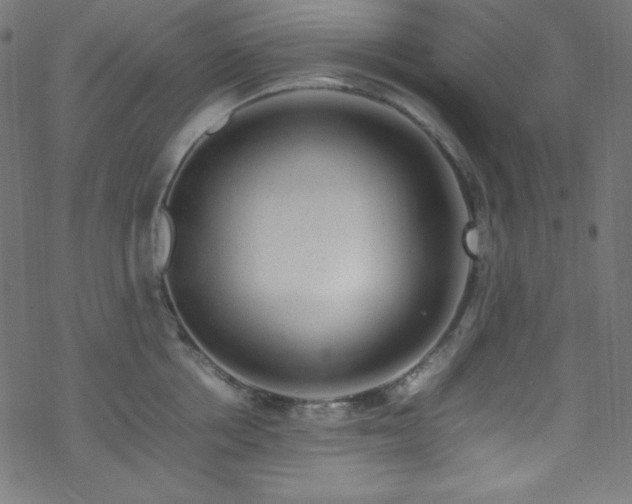 X0000070230858200605301454