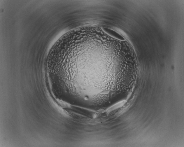 X0000070230859200605301454