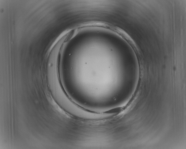 X0000070230860200605301454