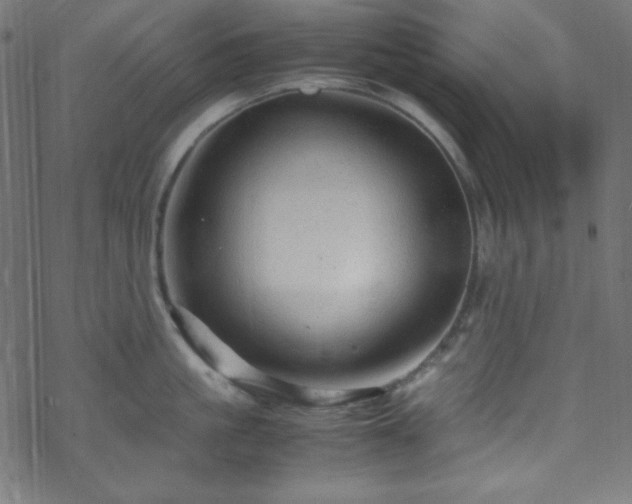 X0000070230861200605301454