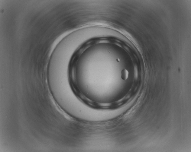 X0000070230862200605301454