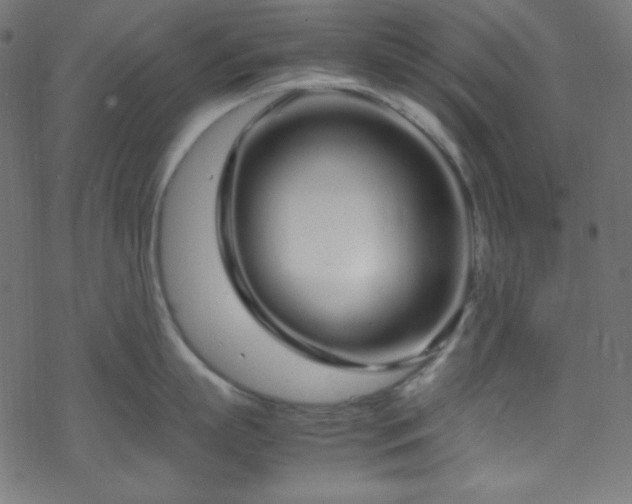 X0000070230863200605301454