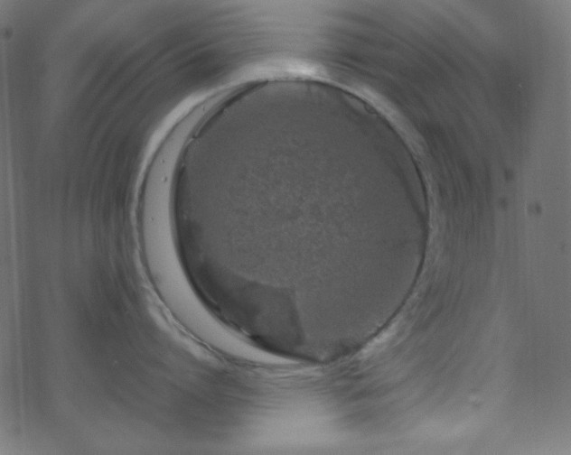 X0000070230864200605301454