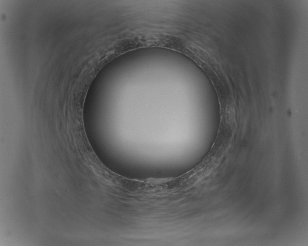 X0000070230865200605301453