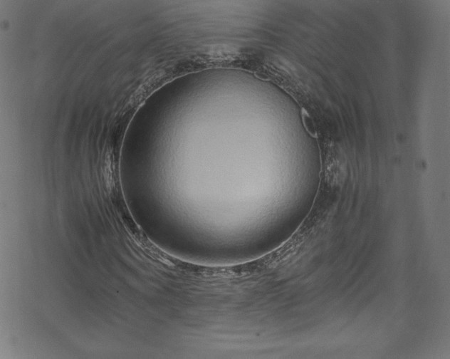 X0000070230866200605301453