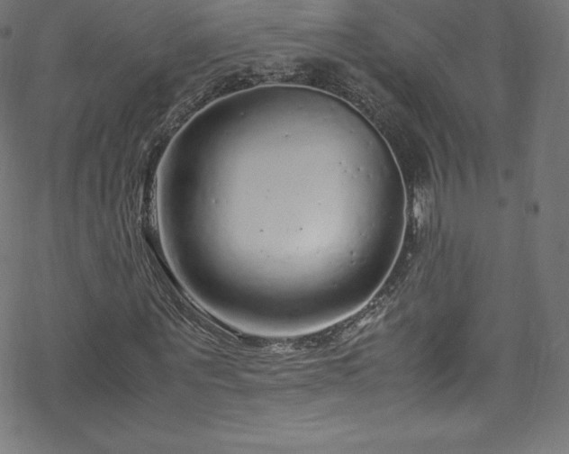 X0000070230867200605301453