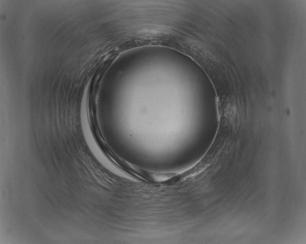 X0000070230868200605301453