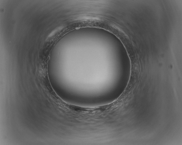 X0000070230869200605301453