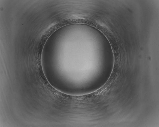 X0000070230870200605301453