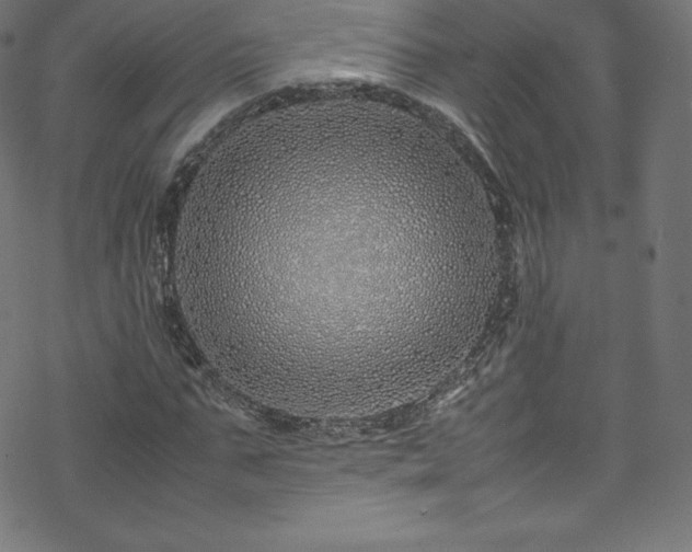 X0000070230871200605301453