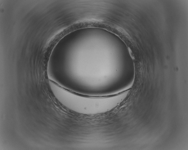 X0000070230872200605301453