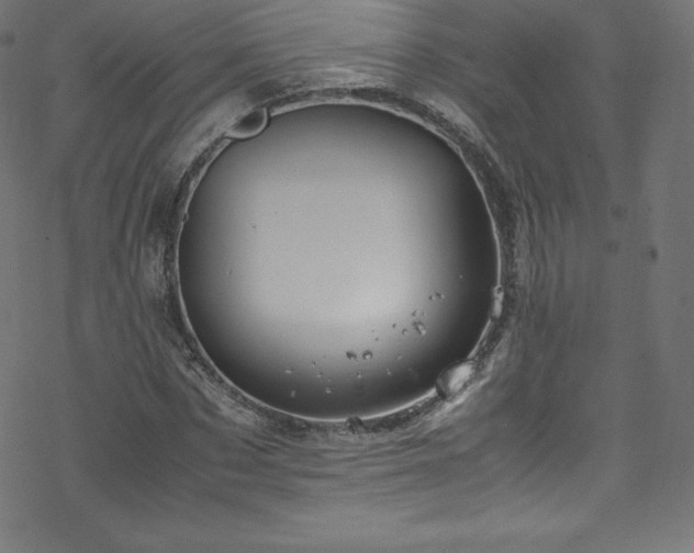 X0000070230873200605301453