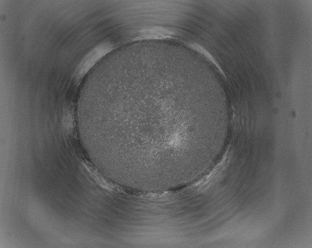 X0000070230874200605301453